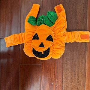 Vibrant Orange and Green Pumpkin Dog Costume Plush Halloween Outfit